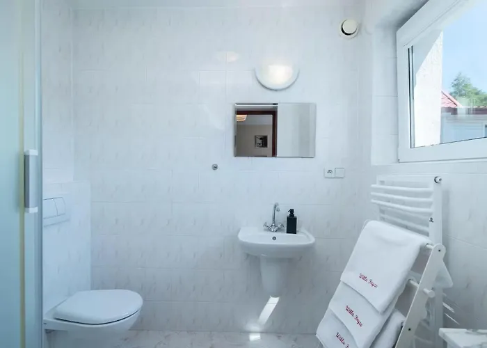 Cykas Jastrzębia Góra